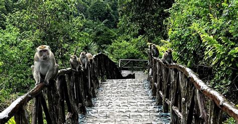 BOLOBOC CAVE (2024) All You Need to Know .